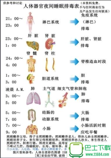 人体穴位3d模型 v1.1