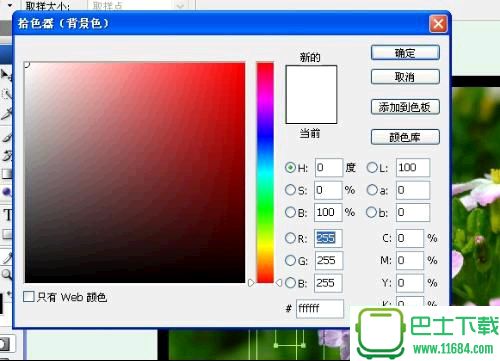 拾色器绿色版 v1.0