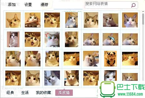 瓜皮猫gif表情包1.0