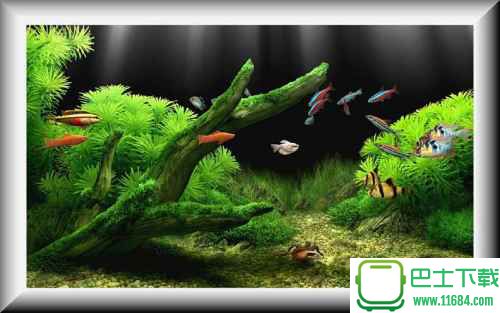 梦幻水族馆dream aquarium v1.234.0