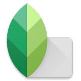 Snapseed电脑版v1.2.1