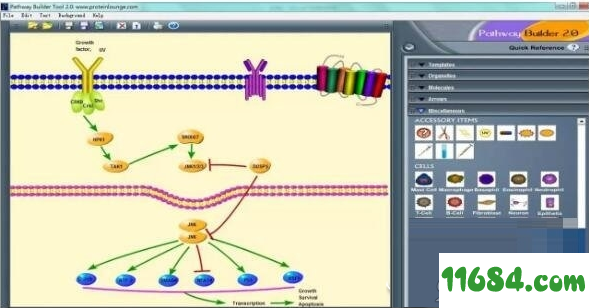 pathway builder tool 2.0绿色版 