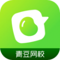 青豆网校app